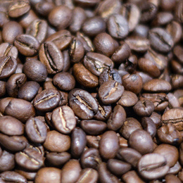 Kaffee­maschinen bei Tauscher Elektrotechnik GmbH in Fritzlar